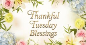 thankful tuesday blessings