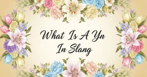 What Is A Yn In Slang  