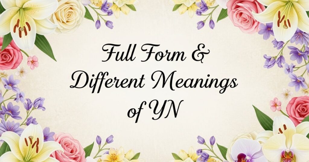 Full Form & Different Meanings of YN