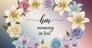 hm meaning in text