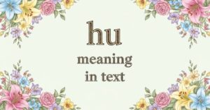 hmj meaning in text