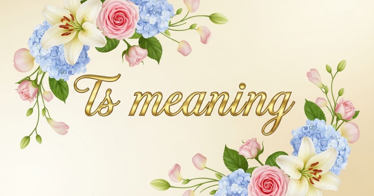 ts meaning