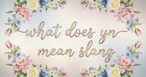 what does yn mean slang