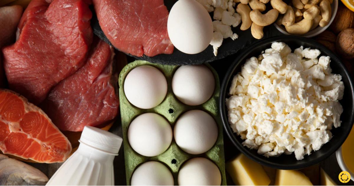 Carnivore Diet Food List: Complete Guide to What to Eat and Avoid