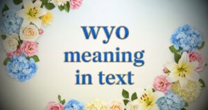 wyo meaning in text