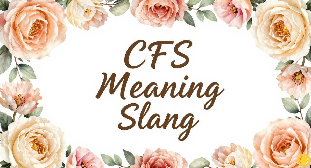 CFS Meaning Slang