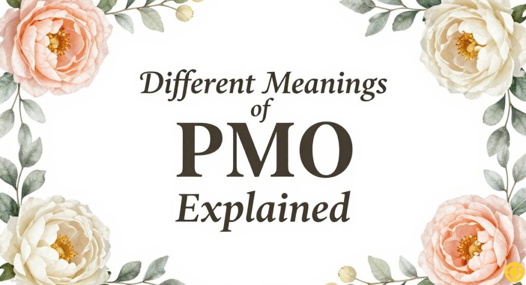 Different Meanings of PMO Explained