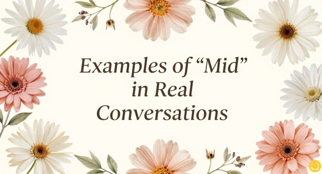 Examples of “Mid” in Real Conversations