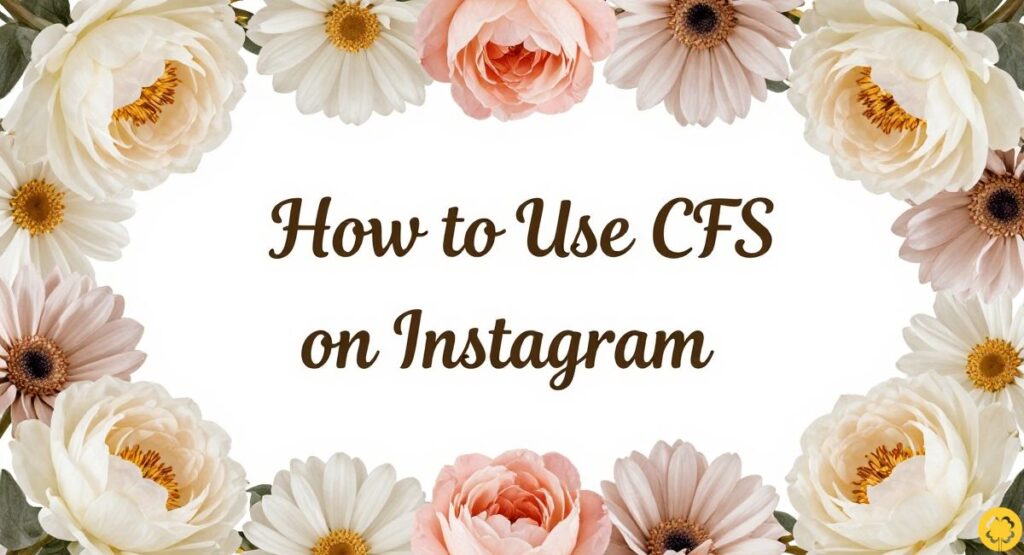 How to Use CFS on Instagram