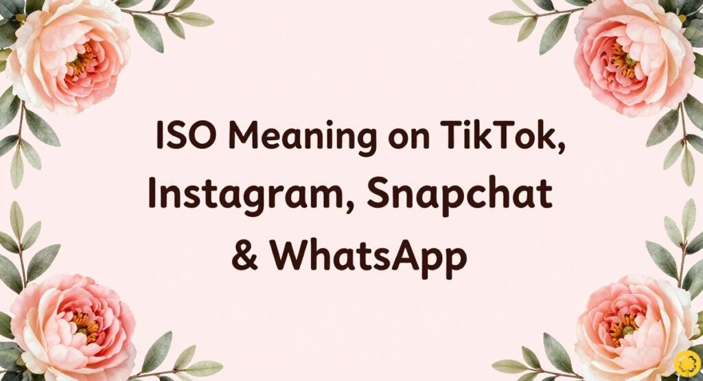 ISO Meaning on TikTok, Instagram, Snapchat & WhatsApp