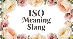ISO Meaning Slang