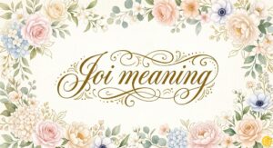 JOI Meaning