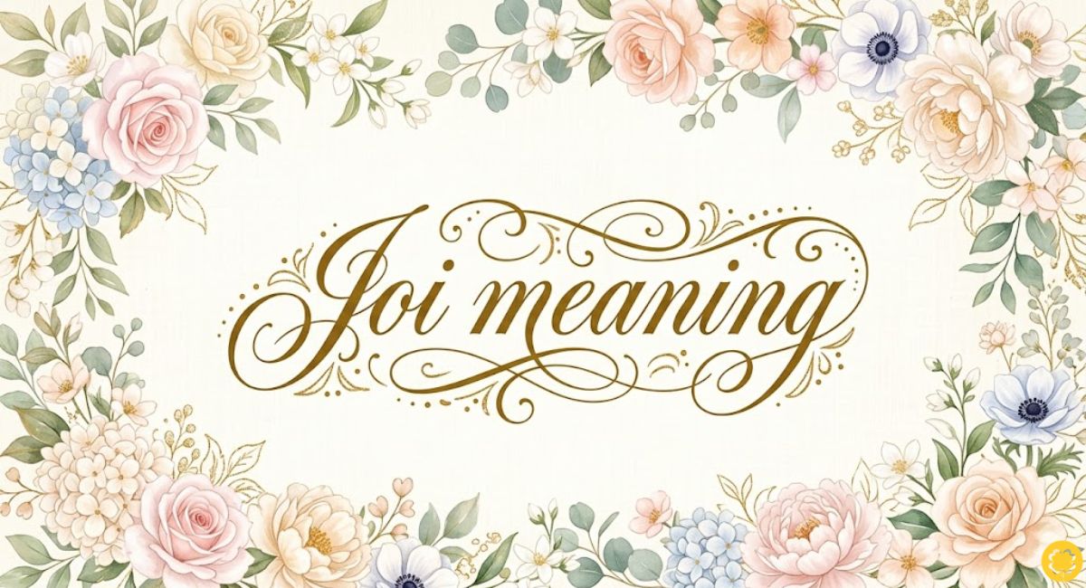 JOI Meaning