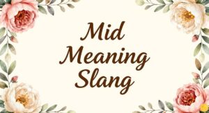 Mid Meaning Slang