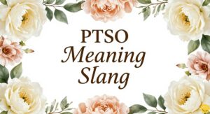 PTSO Meaning Slang