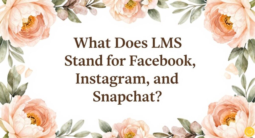 What Does LMS Stand for on Facebook, Instagram, and Snapchat?