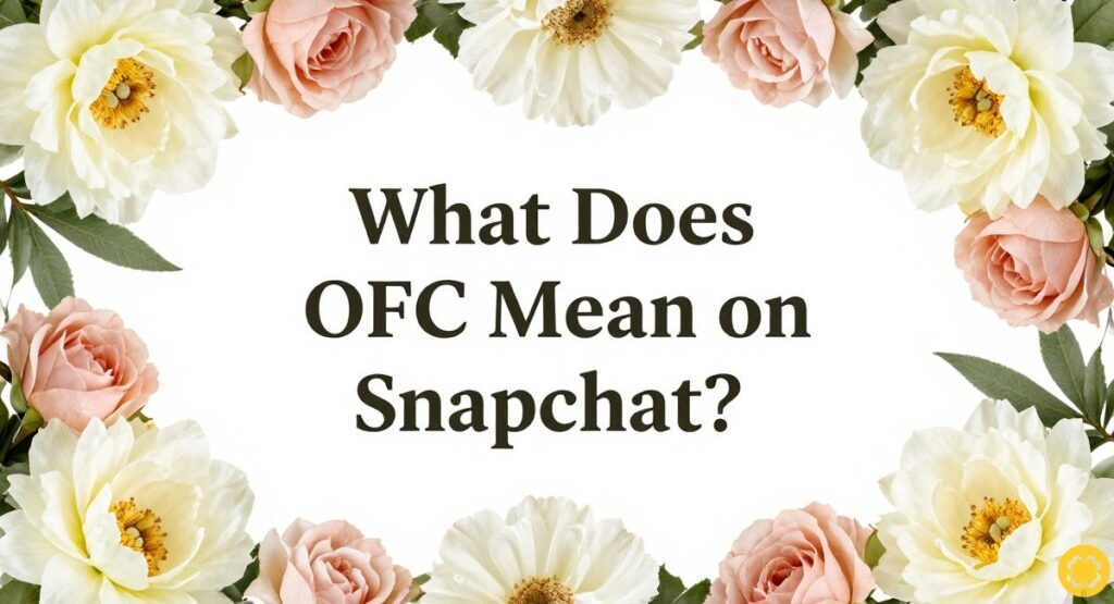 What Does OFC Mean on Snapchat?