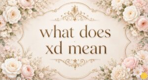 what does xd mean