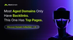 SEO Investment