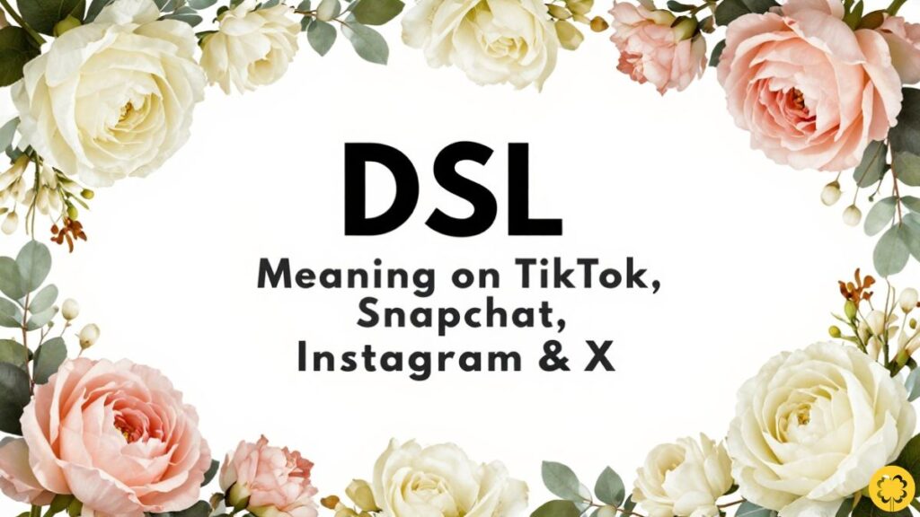 DSL Meaning on TikTok, Snapchat, Instagram & X