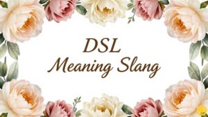 DSL Meaning Slang