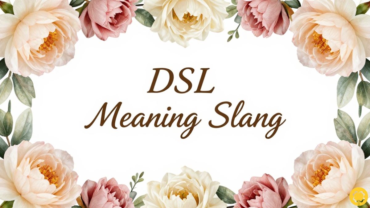 DSL Meaning Slang