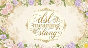 dsl meaning slang