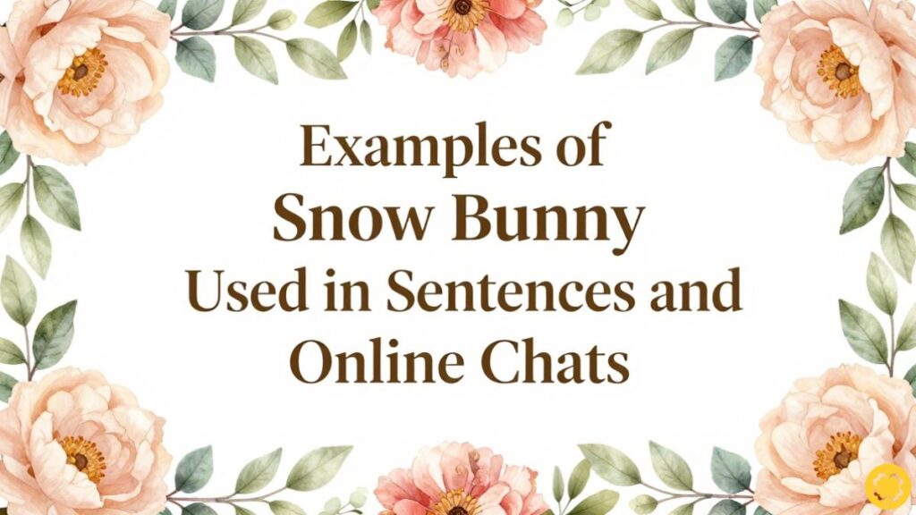 Examples of Snow Bunny Used in Sentences and Online Chats