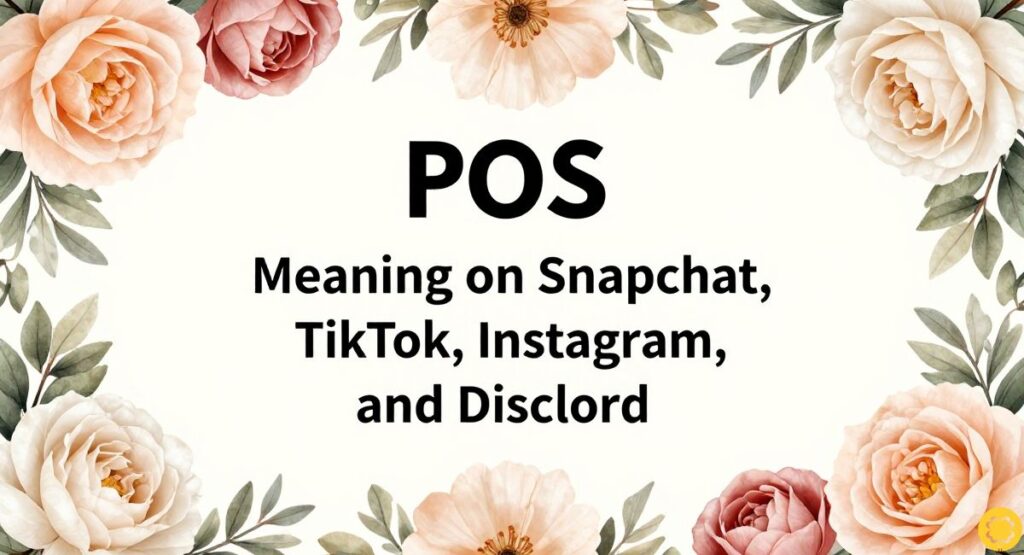 POS Meaning on Snapchat, TikTok, Instagram, and Discord