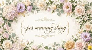 pos meaning slang