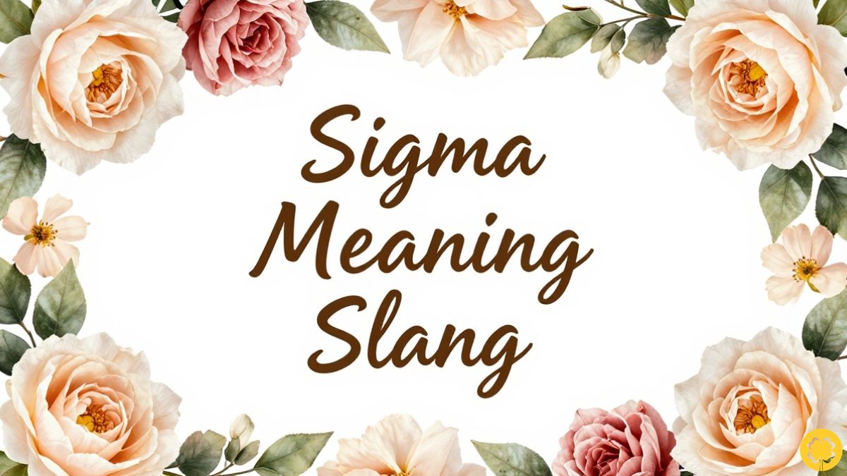 Sigma Meaning Slang