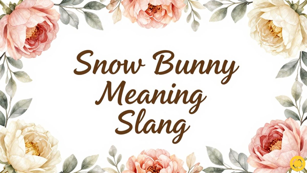 Snow Bunny Meaning Slang