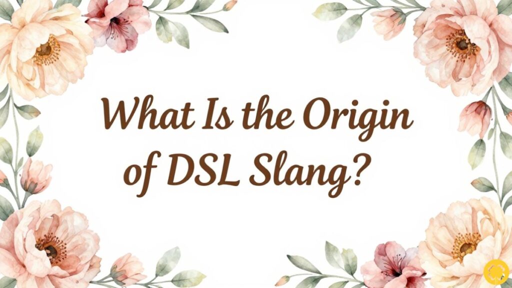 What Is the Origin of DSL Slang?