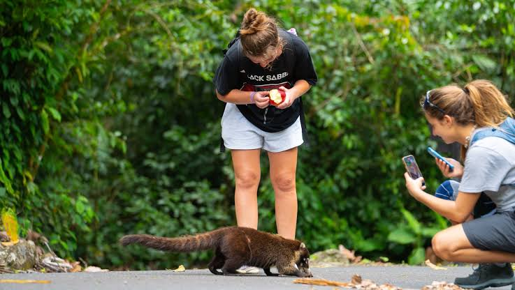 Costa Rica Volunteer Programs That Connect People and Communities