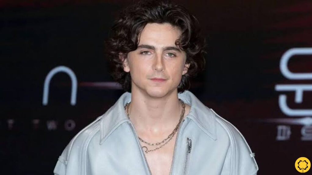 Timothee Chalamet's Assets, Luxury Lifestyle, and Real Estate