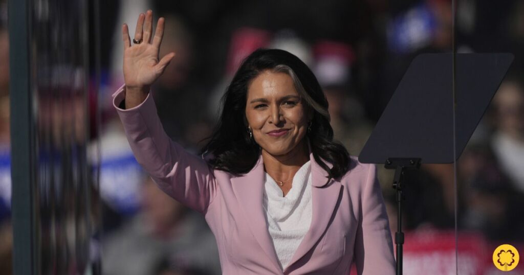 Tulsi Gabbard as Director of National Intelligence