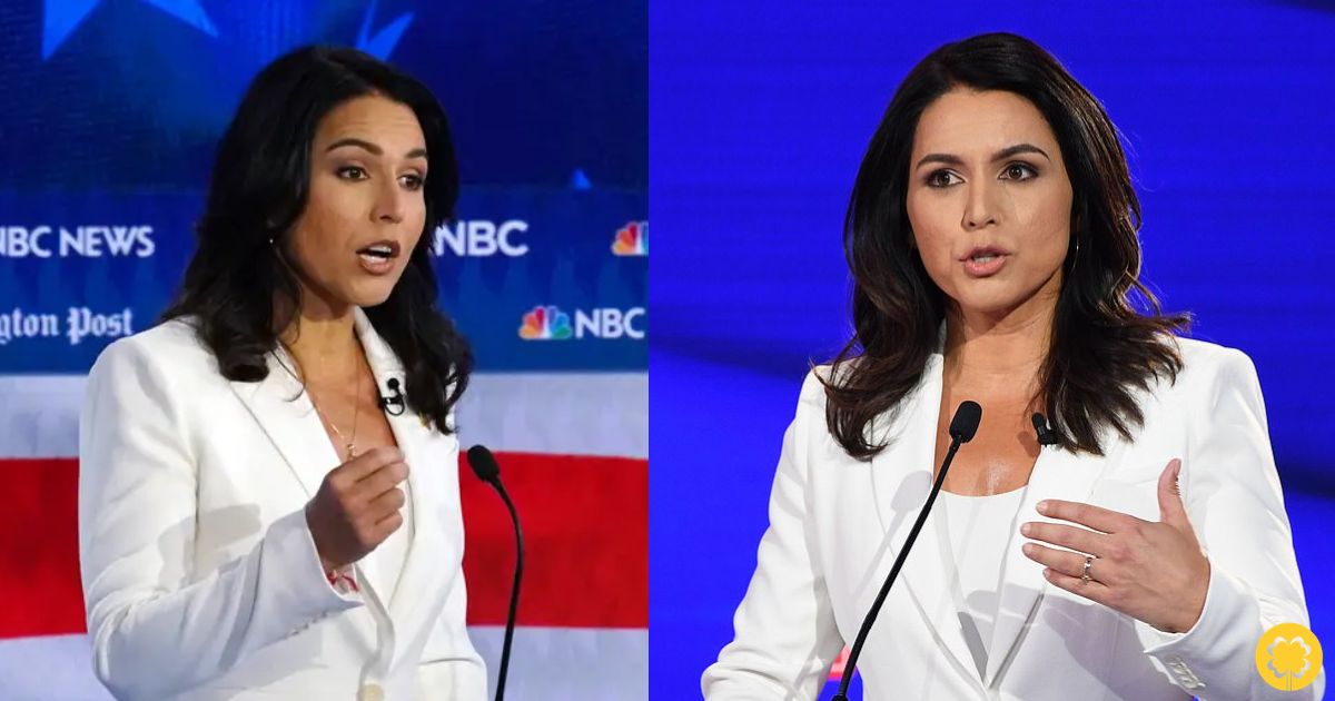 Tulsi Gabbard Net Worth