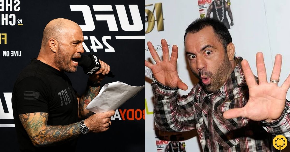 Joe Rogan Net Worth